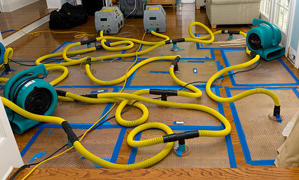 Professional Flood Damage Restoration technician working in San Rafael, NM